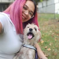 Sitter Profile Image: Alisa D.