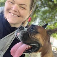 Sitter Profile Image: Blaze M.