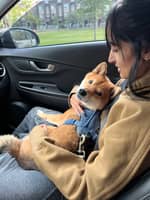 Sitter Profile Image: Mala C.