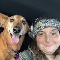 Sitter Profile Image: Sarah N.