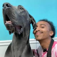 Sitter Profile Image: Angel R.