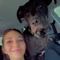 Sitter Profile Image: David L.