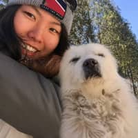 Sitterprofilbild: Yuting C.