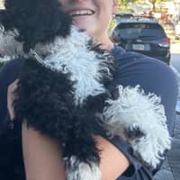 Sitter Profile Image: Nicole M.