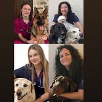 Foto del cuidador: Naiara B.