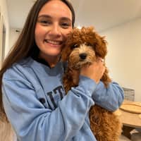 Sitter Profile Image: Gabriella O.