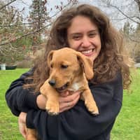 Sitter Profile Image: Ryann C.