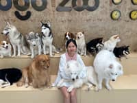 Sitter Profile Image: XUEYAN C.