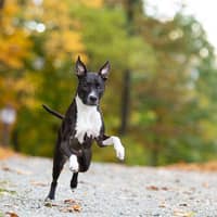 Sitter Profile Image: Rebecca L.