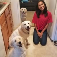 Sitter Profile Image: Allyson P.