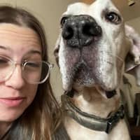 Sitter Profile Image: Rachel H.