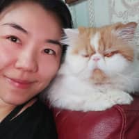 Sitter Profile Image: Rong Z.