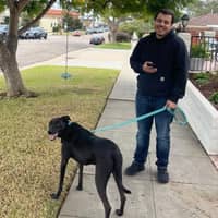 Sitter Profile Image: Robert V.