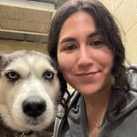 Sitter Profile Image: Teresa C.