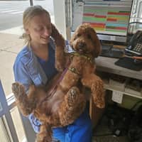 Sitter Profile Image: McKenzie A.