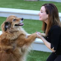 Trainer Profile Image: Elisa S.