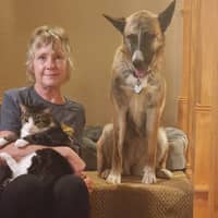 Sitter Profile Image: Laura B.