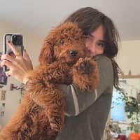 Sitter Profile Image: Sophia H.