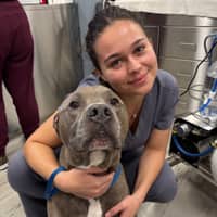 Sitter Profile Image: Veronica B.