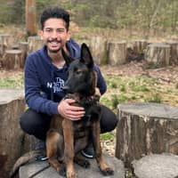 Photo de profil du pet sitter : Allan M.