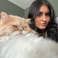 Sitter Profile Image: Tazeen S.