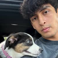 Sitter Profile Image: Peter U.