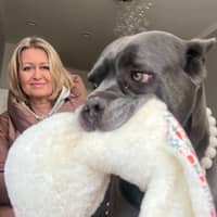 Sitter Profile Image: Tetiana K.