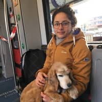 Sitterprofilbild: Laura W.