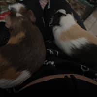 Sitter Profile Image: Jasmine G.