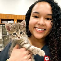 Sitter Profile Image: Alexyss P.