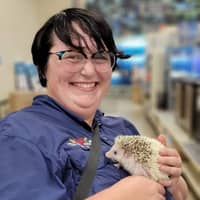 Sitter Profile Image: Allison B.