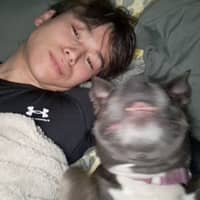 Sitter Profile Image: Toshinori B.