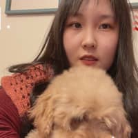 Sitter Profile Image: Yi S.