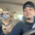 Sitter Profile Image: Giovanni N.