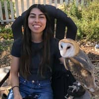 Sitter Profile Image: Jessica C.