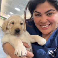 Sitter Profile Image: Karina S.