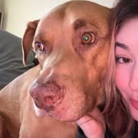 Sitter Profile Image: Madalyn G.