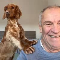 Sitter Profile Image: Jacques T.