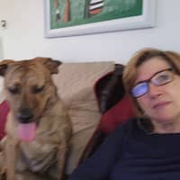 Sitter Profile Image: Maria & Mario D.