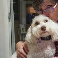 Sitter Profile Image: Maria Eduarda D.