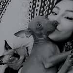 Sitter Profile Image: Emilie V.