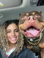 Sitter Profile Image: Madison T.