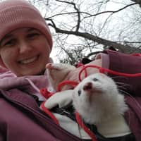 Sitter Profile Image: Kirstin L.