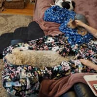 Sitter Profile Image: Laurie & Richard E.