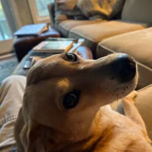 Sitter Profile Image: Ken A.