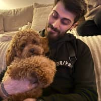 Passarens profilbild: frans N.