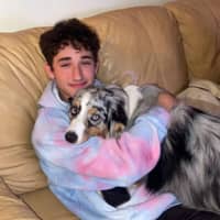 Sitter Profile Image: Max L.