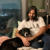 Sitter Profile Image: Vivek P.