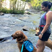 Sitter Profile Image: Soumya S.