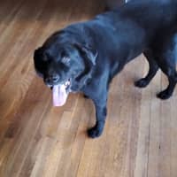 Sitter Profile Image: Taylor K.